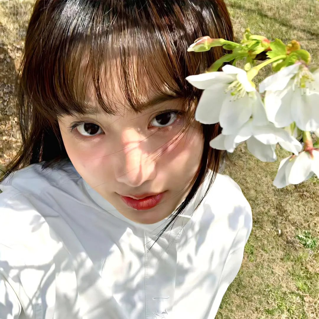 彩虹2015